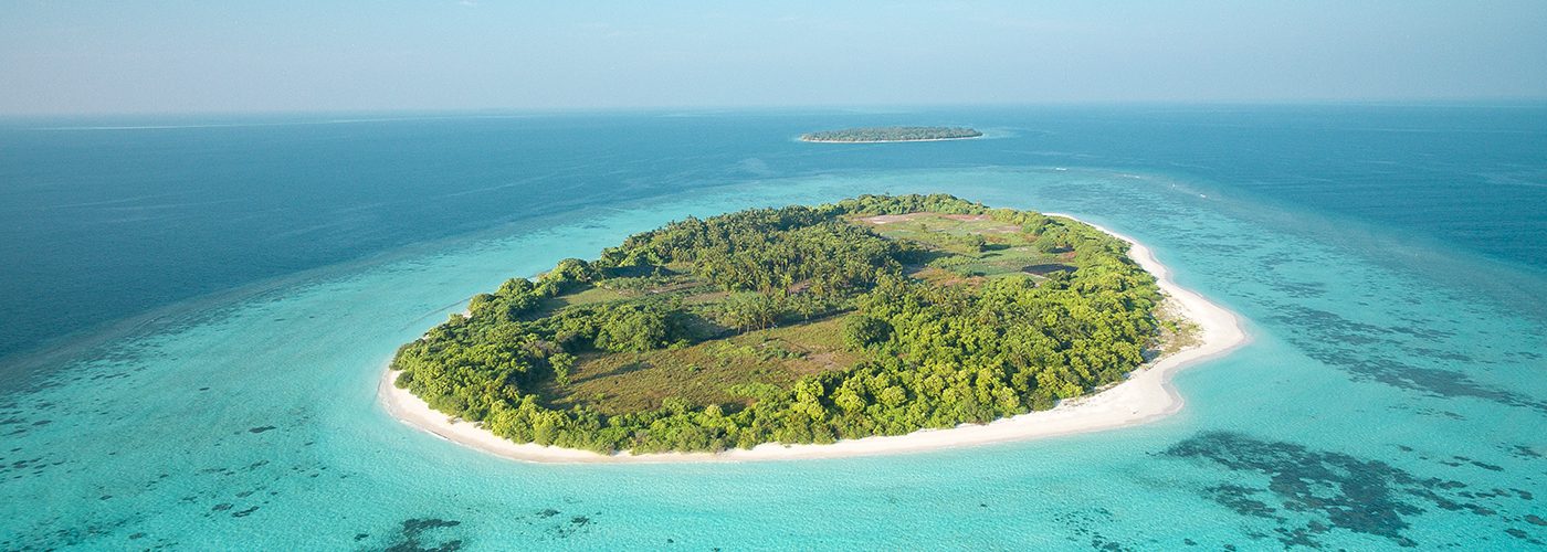 Local island. Dhigufaru Island Resort Maldives.